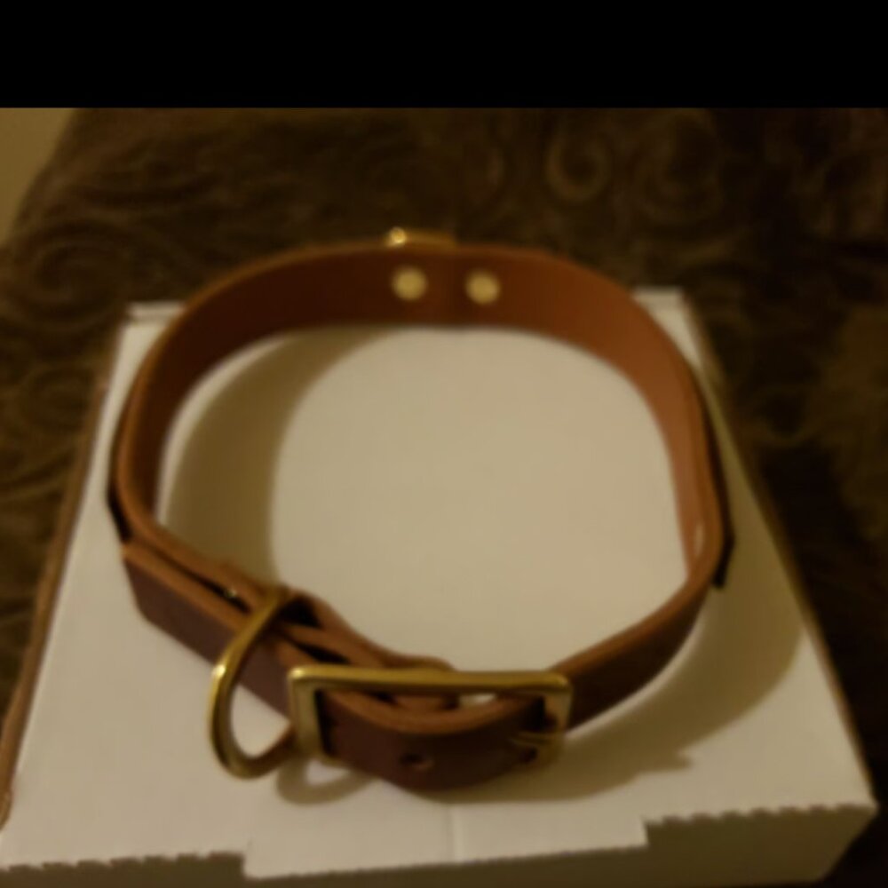 Paco leather dog collar